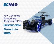 How Countries Abroad are Adopting EPP