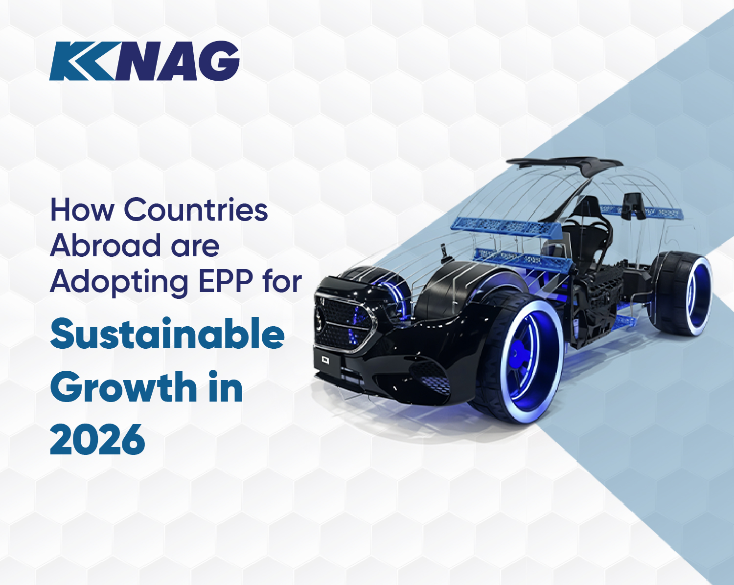 How Countries Abroad are Adopting EPP